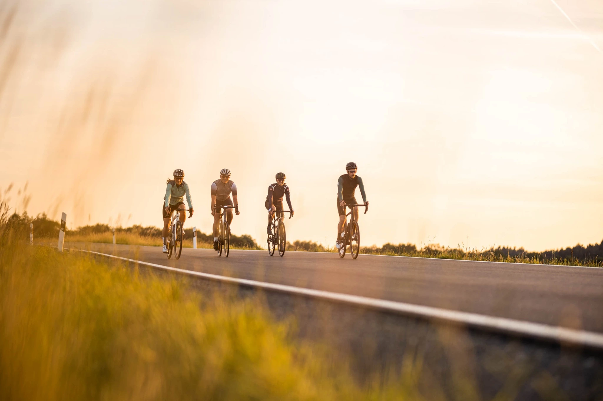 Vendite MTB Elettriche 10 Vendite MTB Elettriche -Vendite MTB Elettriche 294839014 5812761888748679 469534852479783239 n